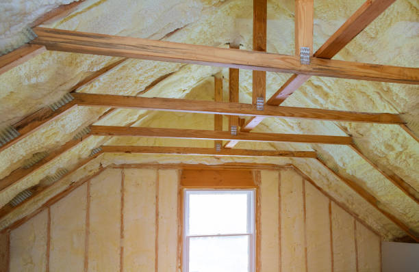 Best Insulation Contractors for Homes  in Montgomery, IN