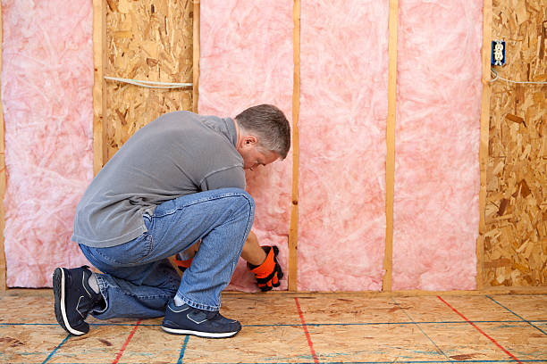Best Insulation Contractor Near Me  in Montgomery, IN